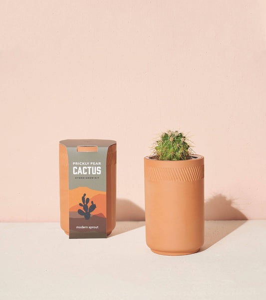 Terracotta Kit, Cactus